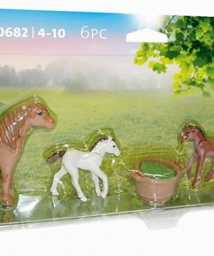 PLAYMOBIL 71000